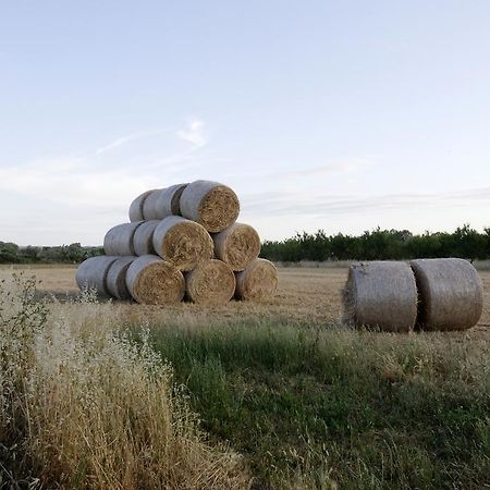 Agrimat Salento Alezio Exterior photo