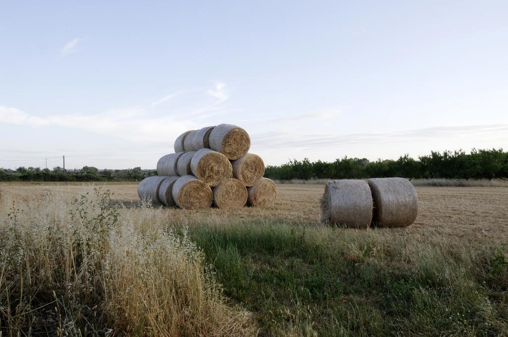 Agrimat Salento Alezio Exterior photo